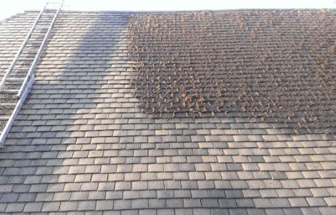 Démoussage et nettoyage de toiture à Champigny-sur-Marne (94), Saint-Maur-des-Fossés (94) et Deuil-la-Barre (95) - Les Compagnons Ortica dans le Val de Marne (94) et le Val d'Oise (95) Démoussage et nettoyage de toiture à Champigny-sur-Marne (94), Saint-Maur-des-Fossés (94) et Deuil-la-Barre (95) - Les Compagnons Ortica dans le Val de Marne (94) et le Val d'Oise (95)